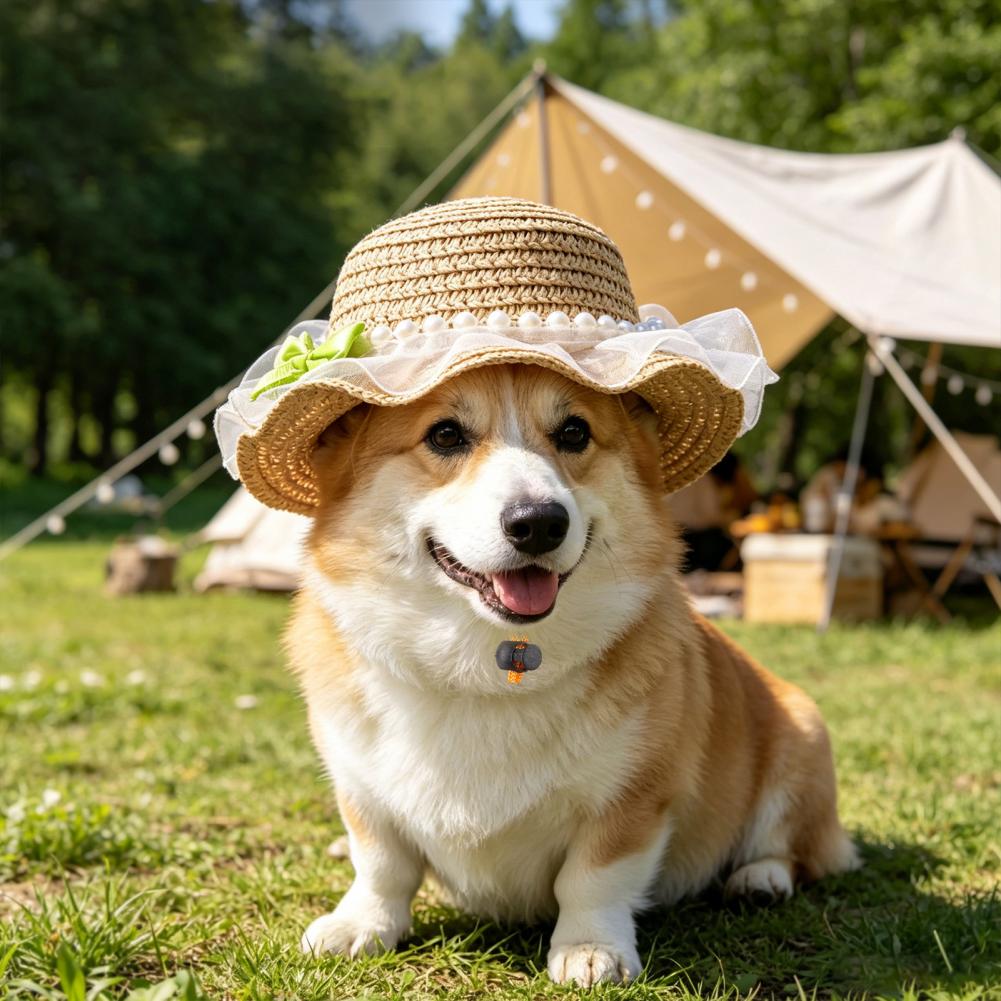 Sombrero para Mascotas Ajustab - Straw Hat Summer reseña y precio