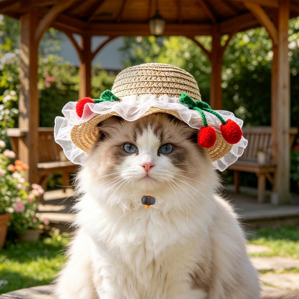 Sombrero para Mascotas Ajustab - Straw Hat Summer reseña y precio